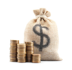 Bag with dollar sign and coins isolated on white