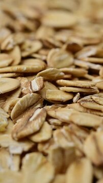 Oat Flakes in Motion: Close-Up Texture
Hercules Oats Close-Up: Natural Grains on White Background