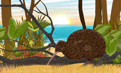 Kiwi bird in the jungle on the ocean shore. Wildlife of New Zealand. Realistic vector landscape