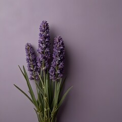 Obraz premium Elegant Lavender Flowers on a Purple Background A Serene and Calming Image