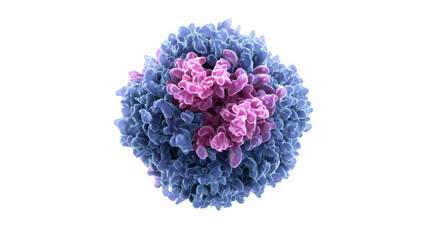 Genetically modified car t cells are attacking a cancer cell in immunotherapy, showing the process of recognizing and destroying harmful cells with transparent background