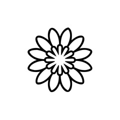 Fototapeta premium Hand drawn summer flower line art design element
