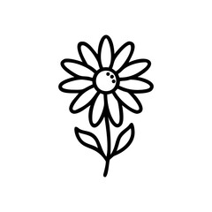 Hand drawn daisy flower summer bloom line art illustration