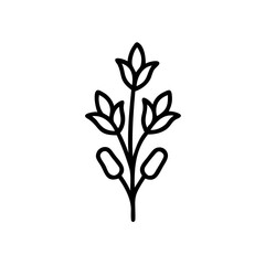 Hand drawn summer floral illustration line art botanical design
