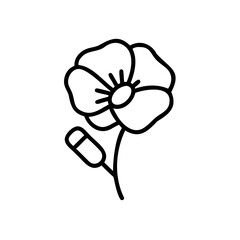 Hand drawn poppy flower summer bloom line art illustration
