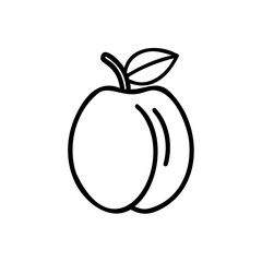 Hand drawn line art summer peach fruit illustration
