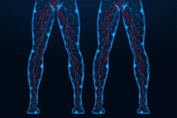 Varicose veins. The health and painful condition of the blood vessels of the legs. Polygonal design of lines and dots. Blue background.