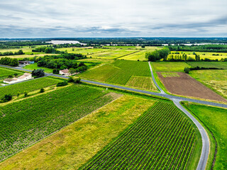 Grape fields around Castle of La Riviere, Vineyard Chateau de La Riviere from a drone, Bordeaux,...