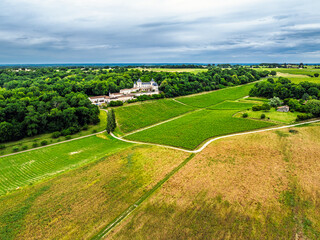 Castle of La Riviere, Vineyard Chateau de La Riviere from a drone, Bordeaux, France, Europe