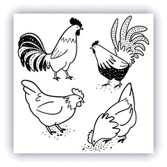 A mature, gray and white turkey hen is centered in a nest of straw. She is brooding over three eggs, with two small, light yellow chicks visible near the eggs. The turkey is positioned in a slightly c