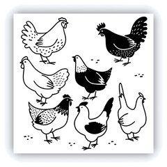 A mature, gray and white turkey hen is centered in a nest of straw. She is brooding over three eggs, with two small, light yellow chicks visible near the eggs. The turkey is positioned in a slightly c