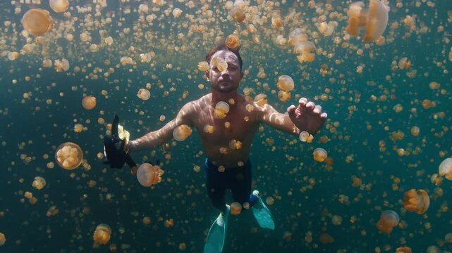 Freediver swims in the lake full of jellyfish. Male diver gently glides underwater among the millions of jellyfish