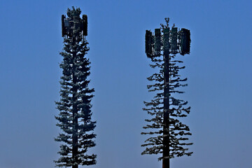 Fake trees used to hide cell antennas are commonly referred to as monopines, or generally, cell...