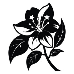 Elegant Black and White Floral Design with Stars in Bloom Petals Image