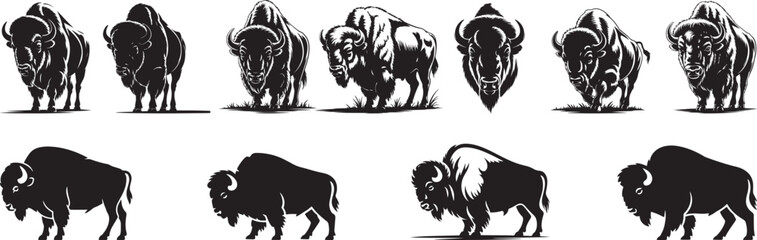 Fototapeta na wymiar American bison silhouettes collection various poses. eps-10