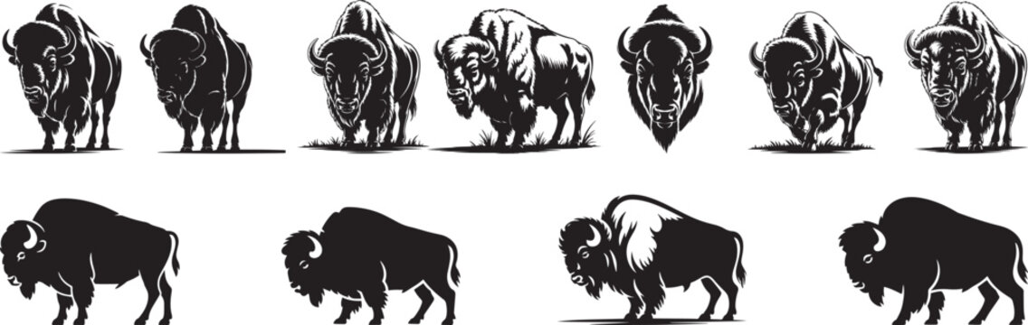 American bison silhouettes collection various poses. eps-10