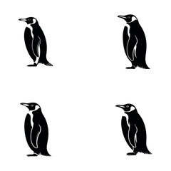 Obraz premium Silhouette set of penguins standing in profile view with black and white body shapes 