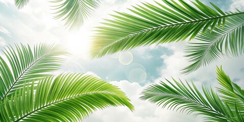 Fototapeta premium Palm Leaves on Cloudy Sky, Tropical, Summer