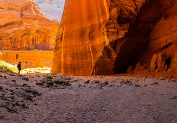 Female Hiker With Large Sandstone Alcove at The Confluence of Wire Pass and Buckskin Gulch, Vermillion Cliffs National Monument, Utah, USA
