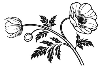 Black outline drawing shows two poppies and their leaves in an artistic style