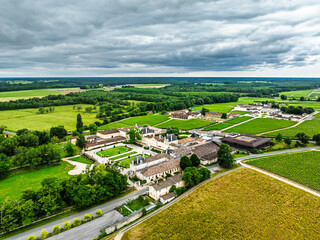 Vineyard of Chateau Beychevelle from a drone, Saint-Julien-Beychevelle, France, Europe