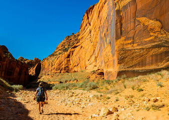 Female Hiker With Tall Vertical Sandstone Walls at The Confluence of Wire Pass and Buckskin Gulch, Vermillion Cliffs National Monument, Utah, USA
