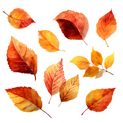 Obraz premium Autumn Watercolor Leaves Collection Vibrant Fall Foliage for Design Projects