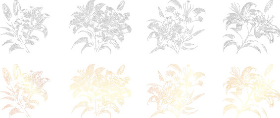 Set of Lily Flowers Stroke Line Art Vector Design | Elegant Floral Outline Illustration