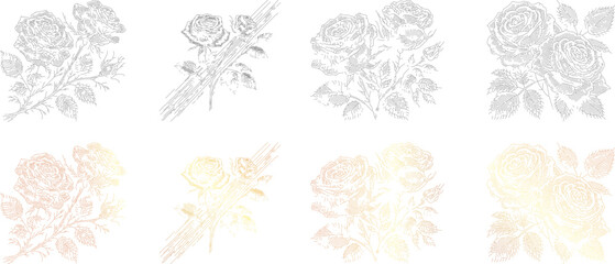 Elegant Set of Rose Line Art Design | Stroke Line Floral Vector Illustration