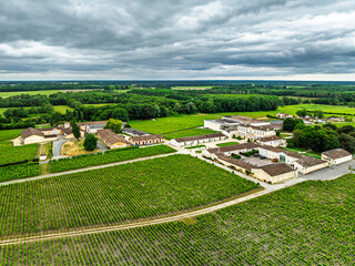 Vineyard of Chateau Branaire-Ducru from a drone, Saint-Julien-Beychevelle, France, Europe