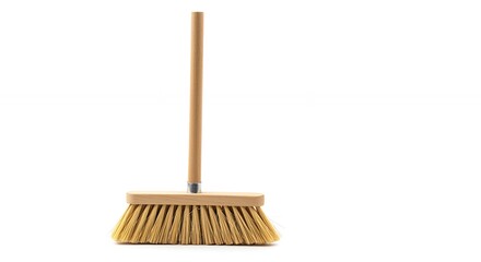 Simple natural bristle broom