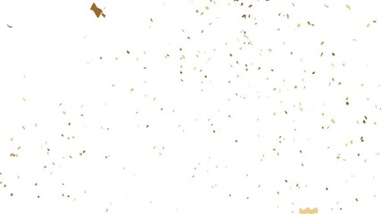 Colorful fireworks confetti explodes on white background, animation of the explosion and fall of confetti in 4k video. confetti bomb effect from the inside glitter background with gold slowly falling - Powered by Adobe