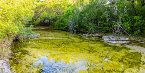 Early Morning Reflections on East Mills Creek, Brenham, Texas, USA