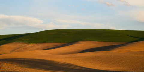 Contrast in rolling hills of the Palouse Region with ploughed and unploughed agricultural land