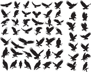 Eagle Silhouette Vector Set. Flying and Perching Birds of Prey. Wilderness and Freedom Animal Graphic Collection.