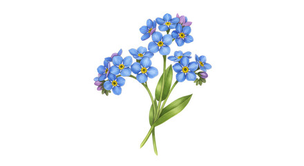 Naklejka premium Delicate Blue Forget Me Nots Floral Bouquet on Transparent Background