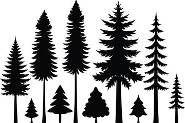 Silhouettes of various evergreen trees in a row