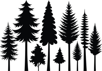Obraz premium Silhouettes of various evergreen trees in a forest