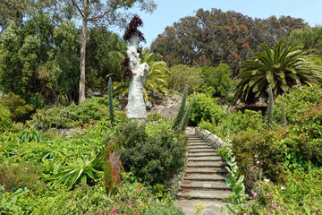 stone staircase in the garden