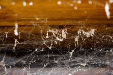 Nasty old spider web under the ceiling in the attic