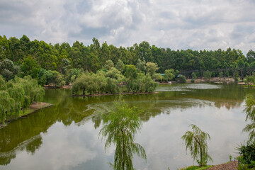 a very beautiful lake in Shekvetili Dendrological Park