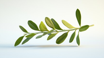 Naklejka premium Green sprig of leaves