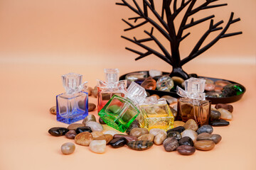 Assorted perfume bottles in luxury packaging displayed with natural elements.