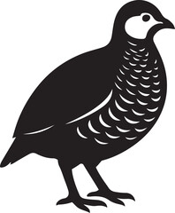 Quail vector silhouette simple bird graphic, Minimal bird art silhouette of a quail