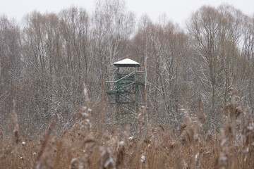 White snowy landscape of Moscow in winter where you can see a large field of bushes on it stands a...