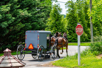 A horse-drawn carriage, grey in color, moves slowly along a rural road. Two brown horses pull the...