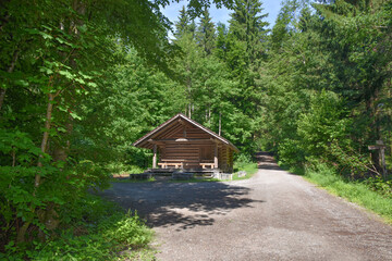 wooden house in the forest near the road


