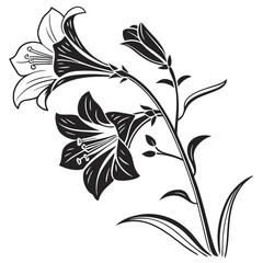 Black and white floral with detailed lily flower bloom and buds on a slender stem