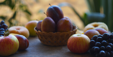 Black grapes, yellow leaves, various fruits on a blackboard