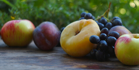 Black grapes, yellow leaves, various fruits on a blackboard